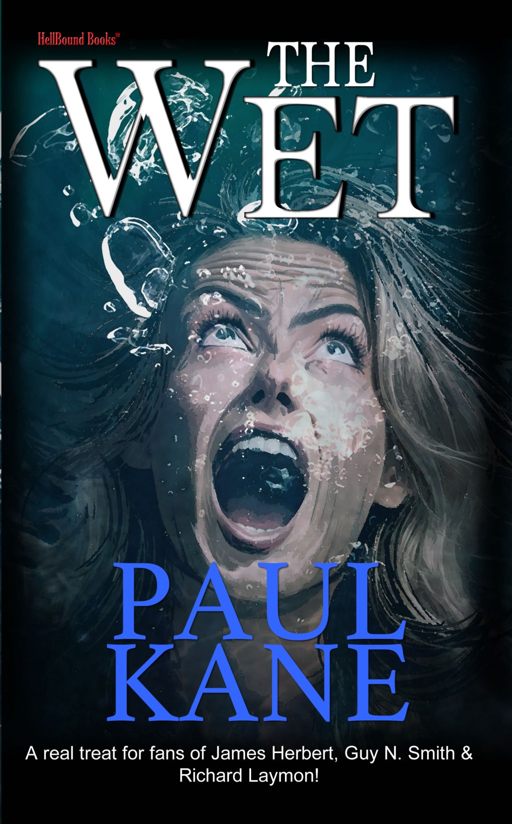 Graveyard Books: The Wet by Paul&nbsp;Kane